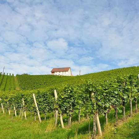 Weingut Puschnig * Leutschach