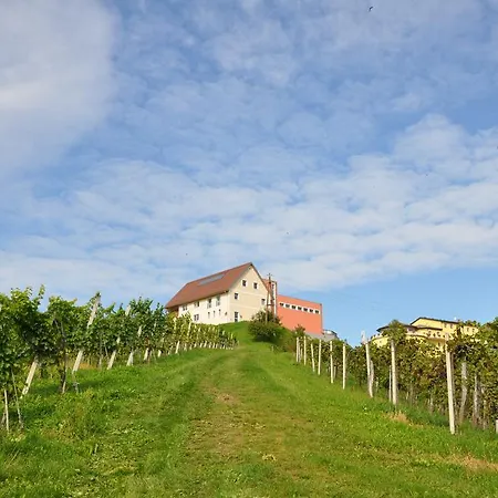 Konukevi Weingut Puschnig